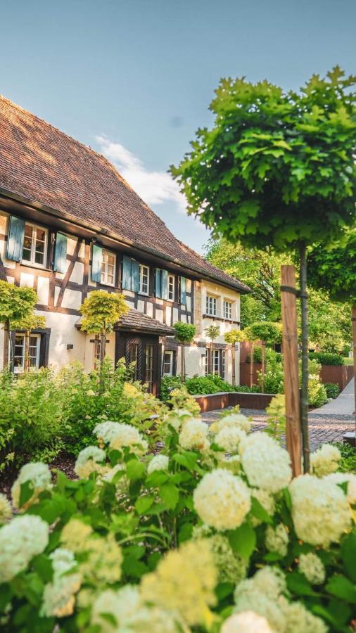 Domaine Du Kaegy - Hebergements 5 Etoiles Steinbrunn-le-Bas Экстерьер фото